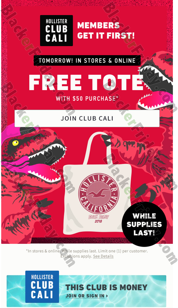 Hollister Black Friday 2021 Sale What To Expect Blacker Friday