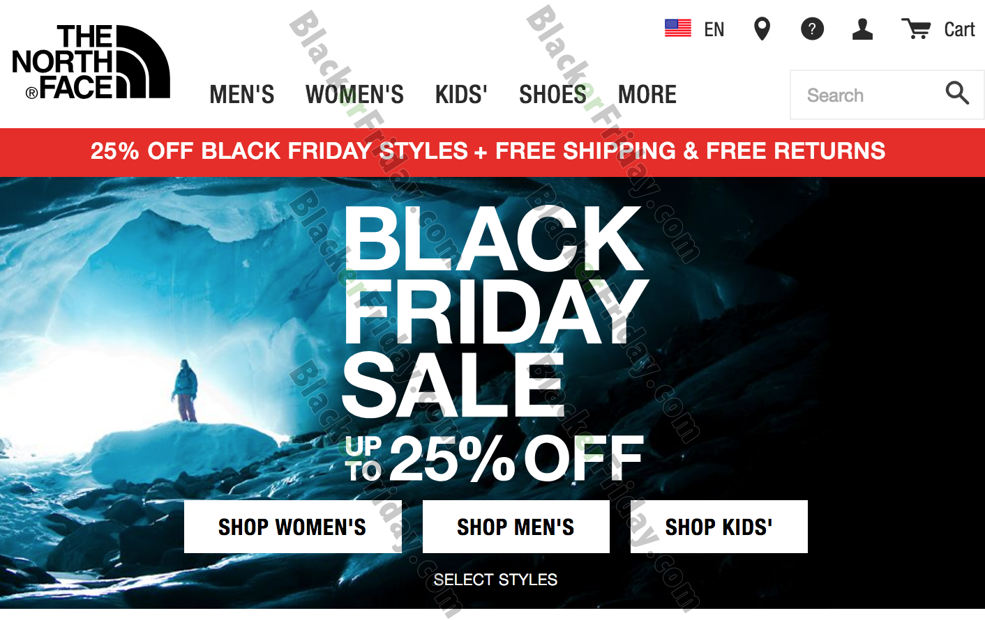 black friday north face sale