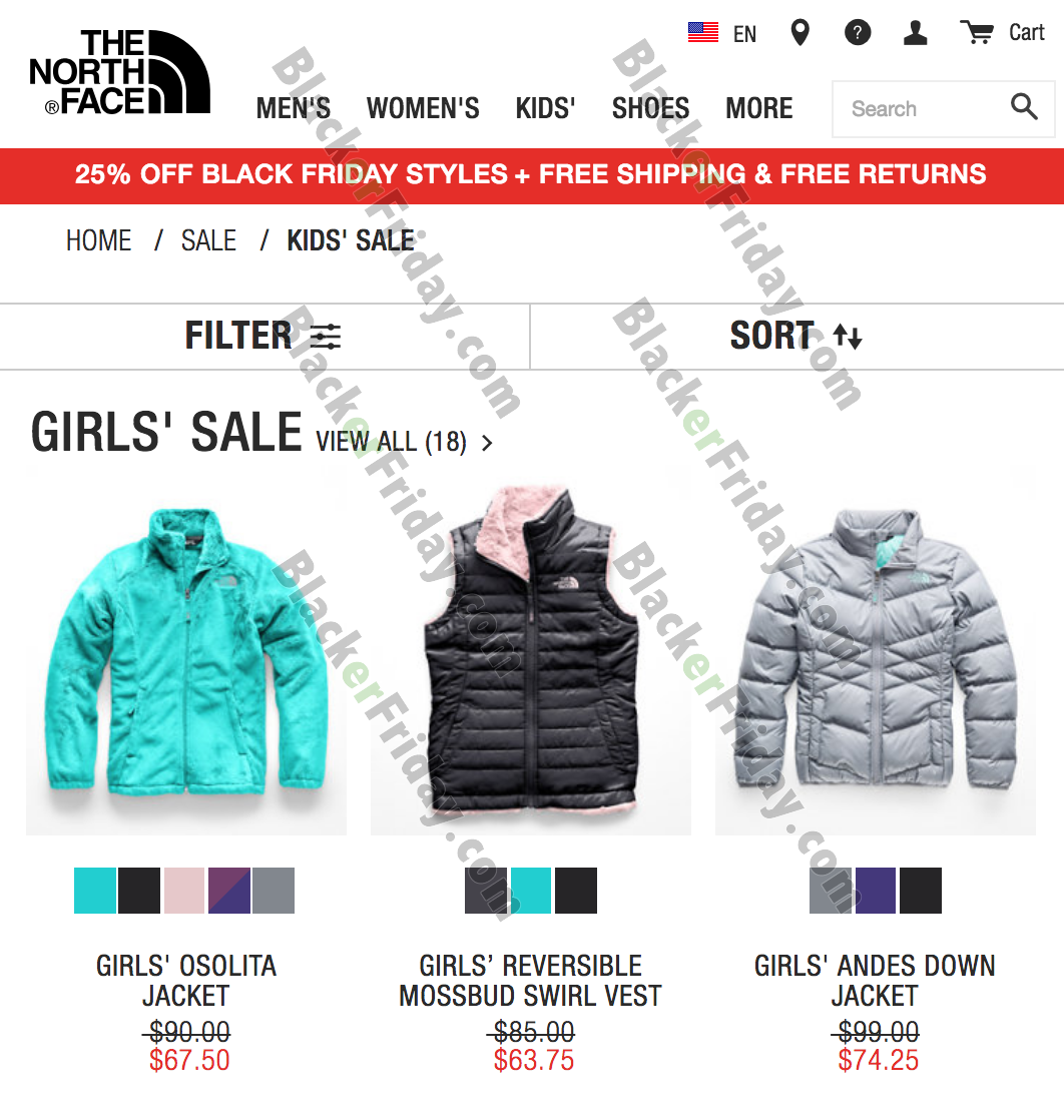 black friday north face sale